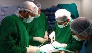 Liver Transplant